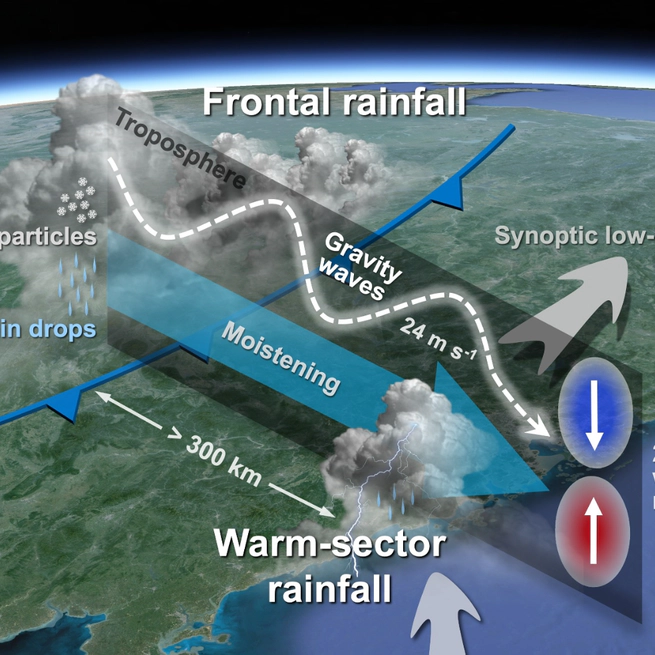Could developing frontal rainfall influence warm-sector rainfall?