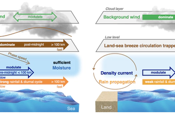 A global survey of diurnal offshore propagation of rainfall