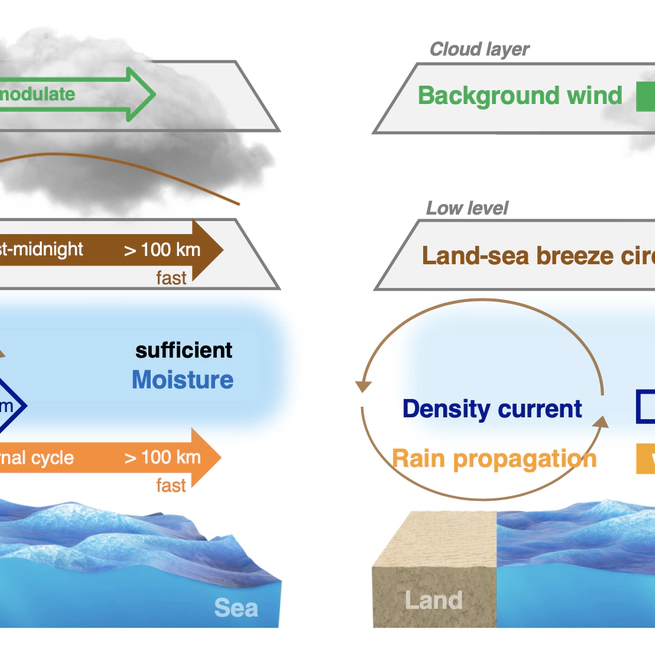 A global survey of diurnal offshore propagation of rainfall